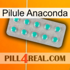 Anaconda Pill 28